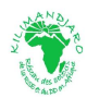 logo_kilimandjaro
